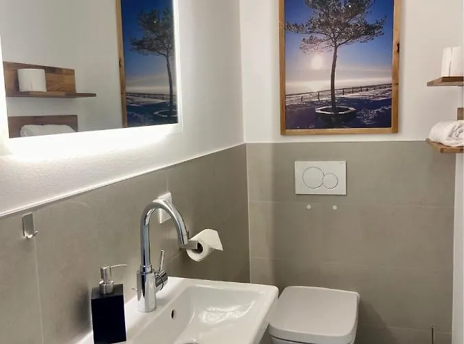 公寓 2915 5 达默